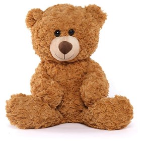 Cute Teddy